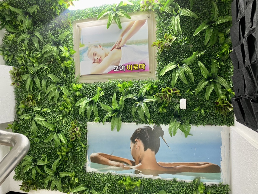 조아아로마 이미지