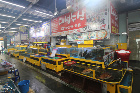 대성수산 이미지