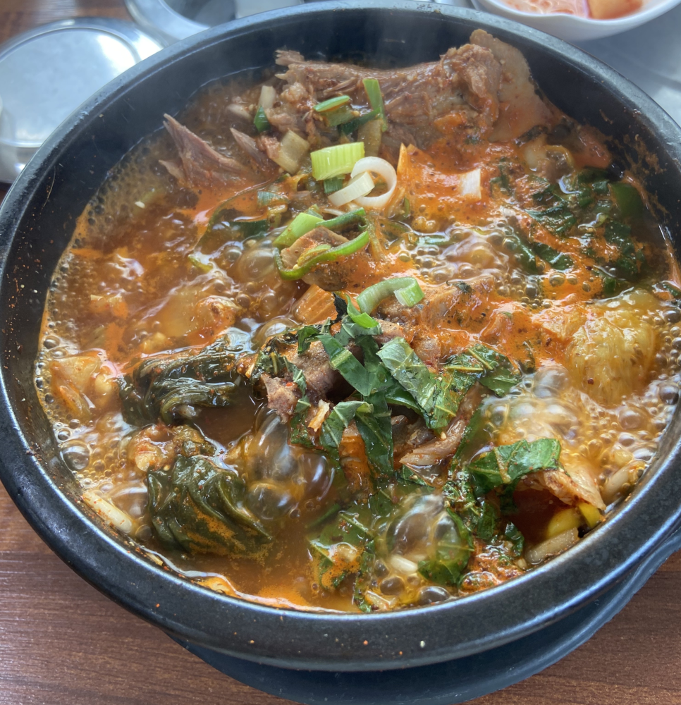 선보래 이미지