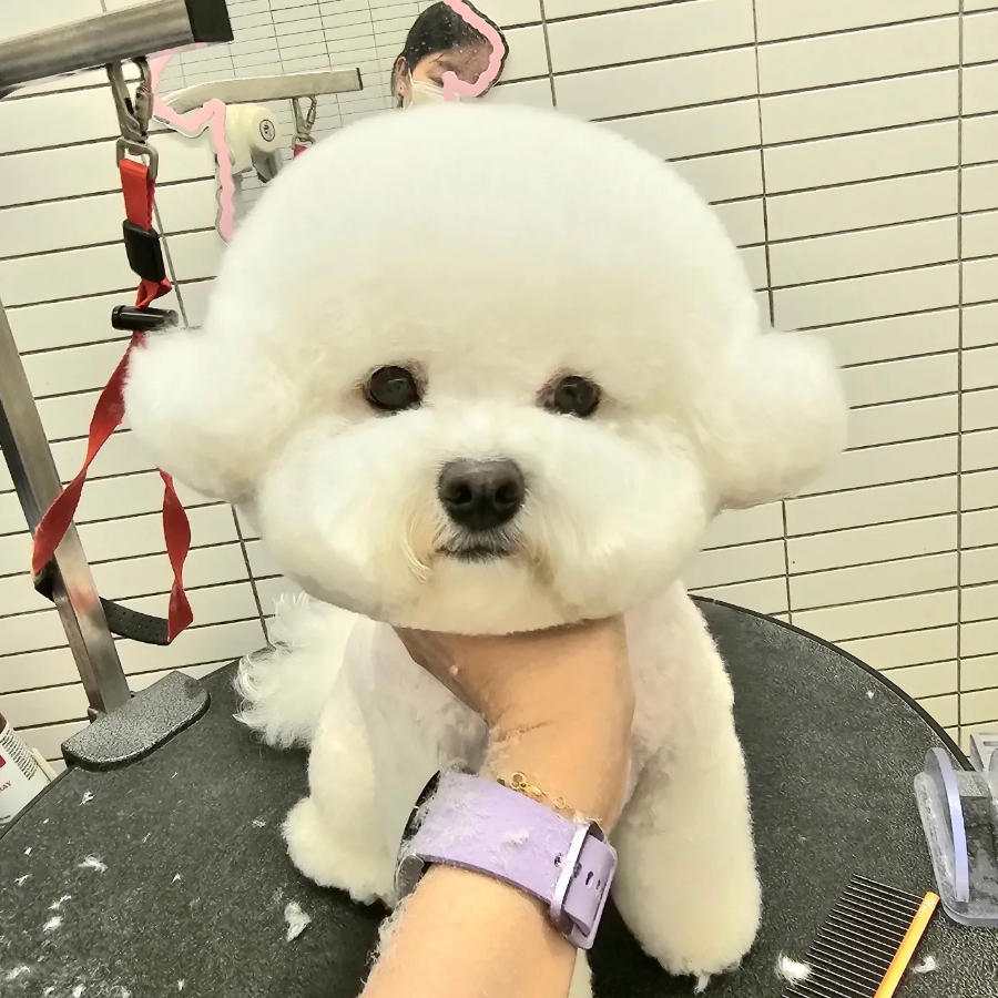 양지미용실 이미지