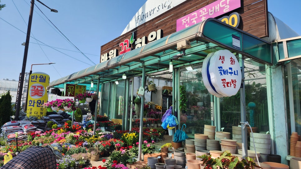화원꽃마을 이미지