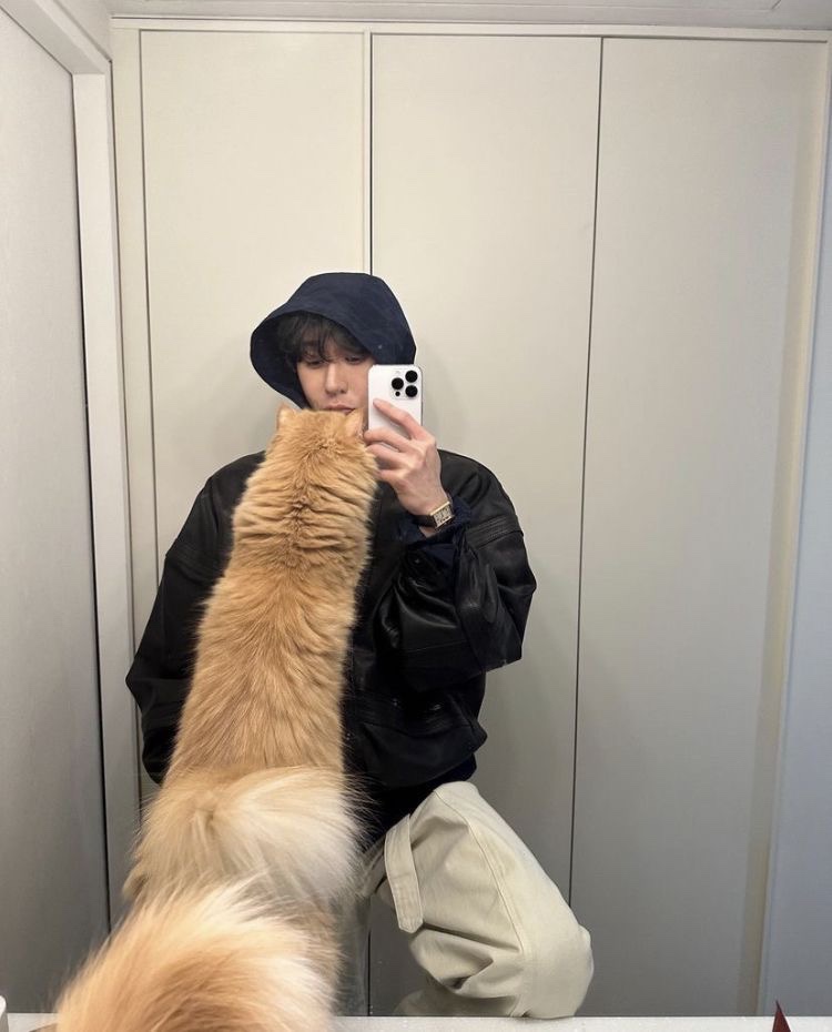 갤러리코쿤 이미지