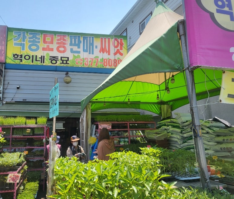 혁이네모종 이미지