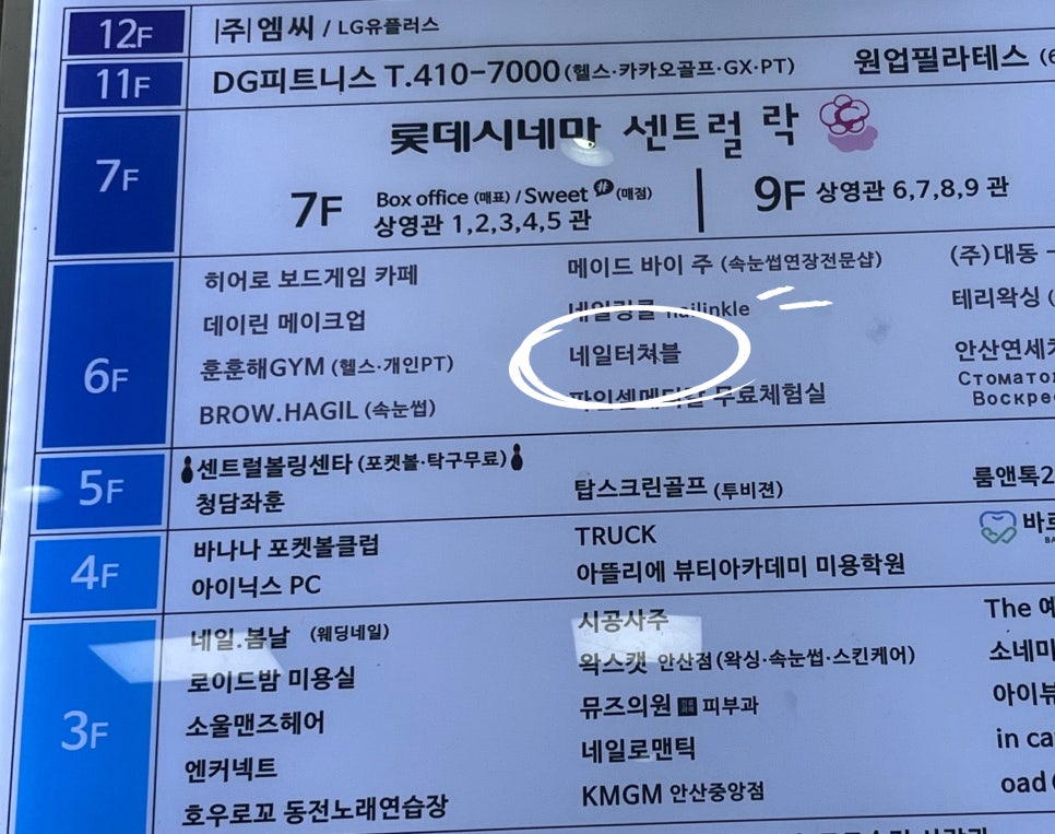 네일터쳐블 이미지