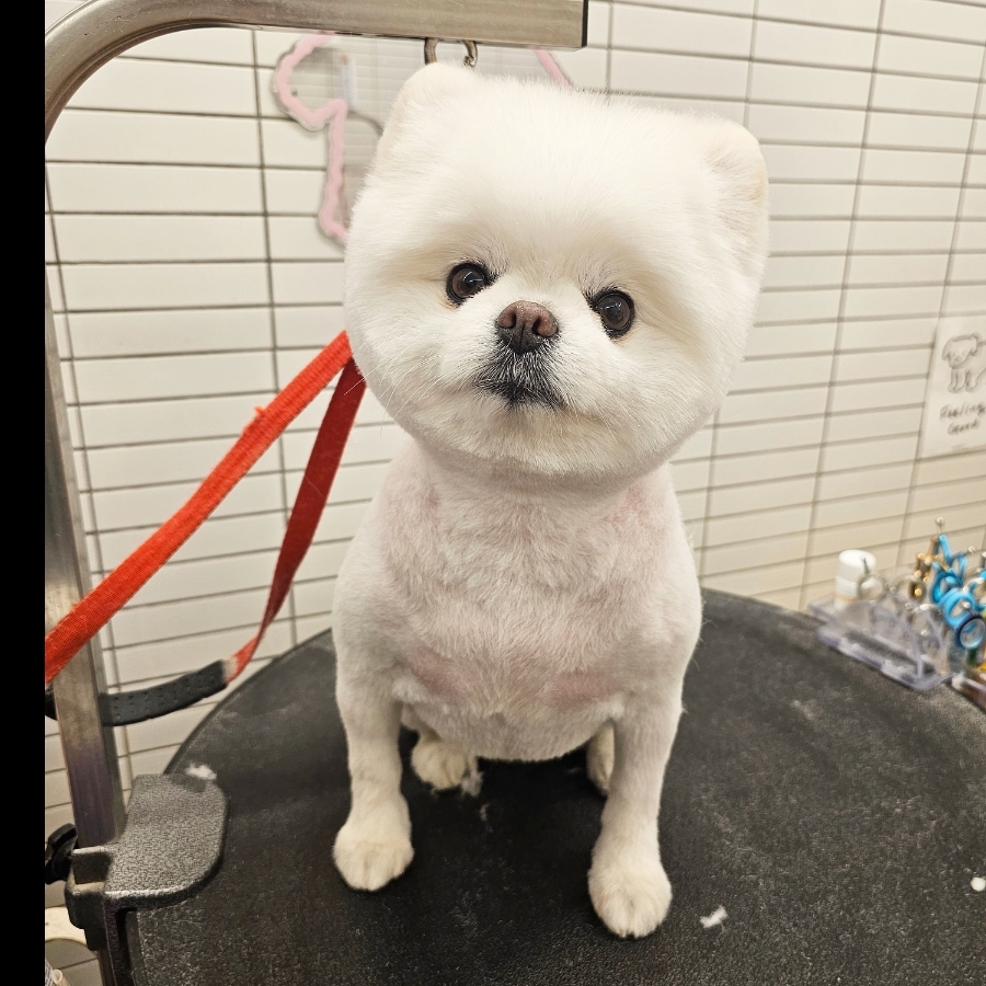 양지미용실 이미지