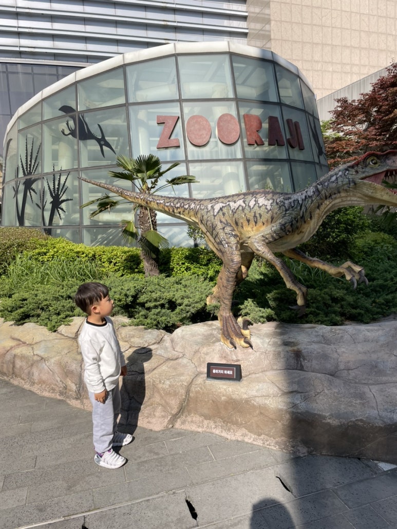 신세계주 이미지