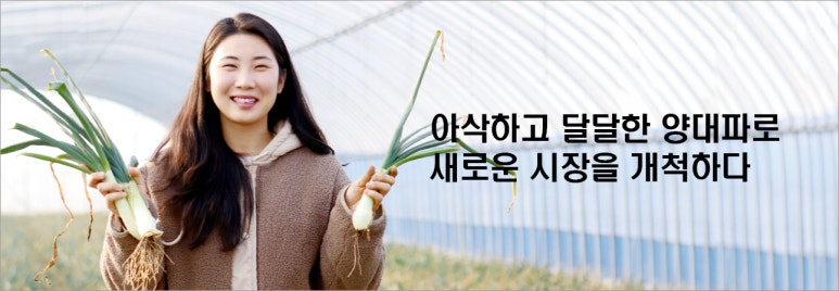 물조리자리 이미지
