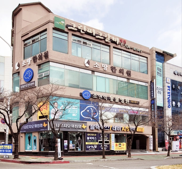 나르지오워킹화 이미지
