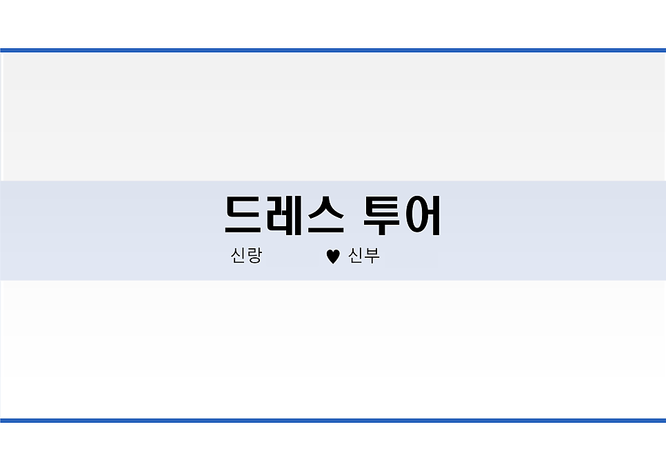 레이나투어 이미지