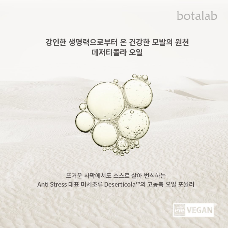 보타랩헤어 이미지