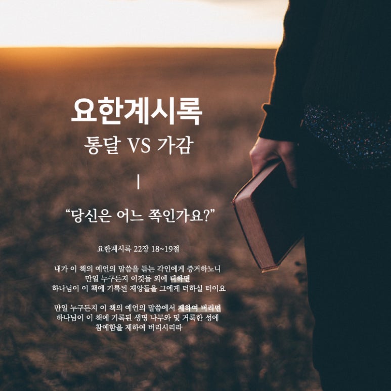 다주여행사 이미지