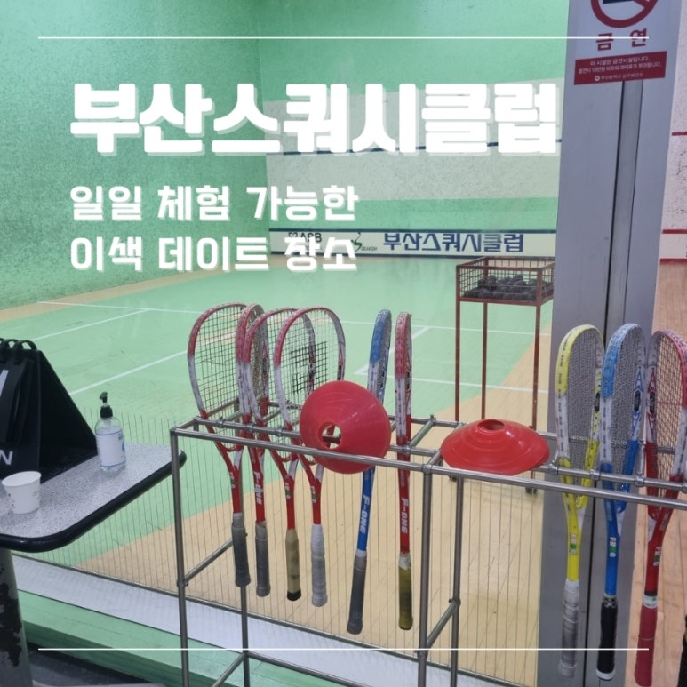 부산스쿼시클럽 이미지