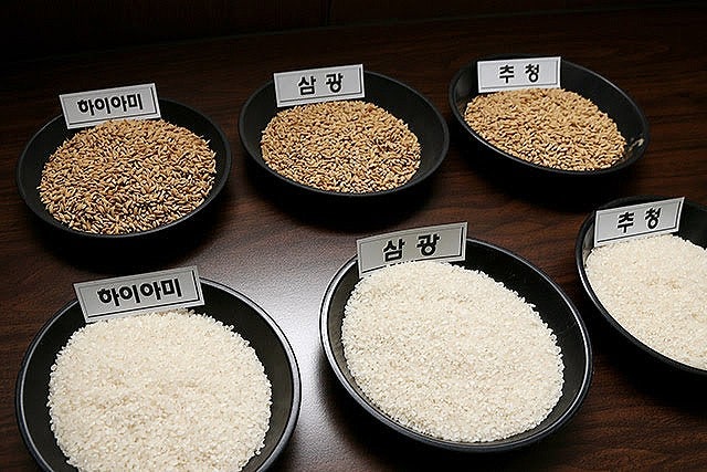 삼광개발 이미지