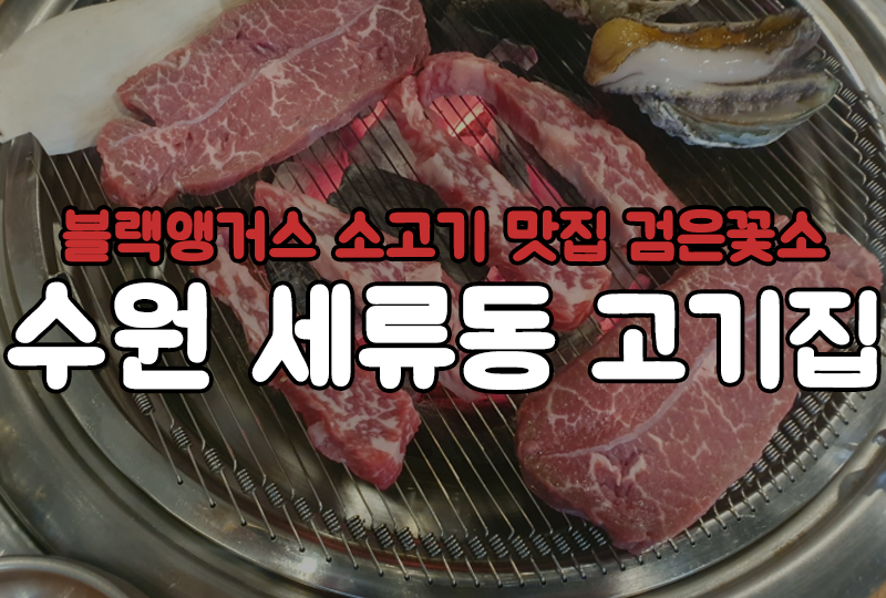 검은꽃소 이미지