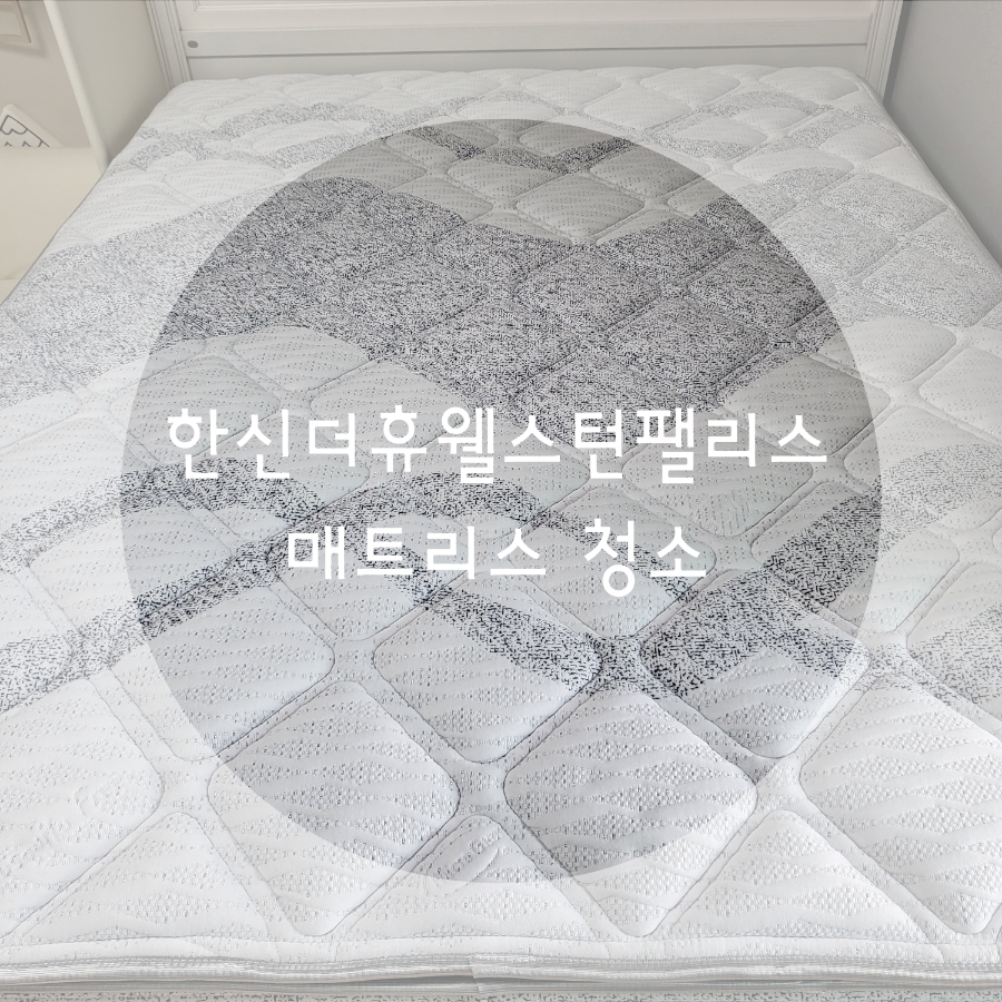 웰스턴 이미지