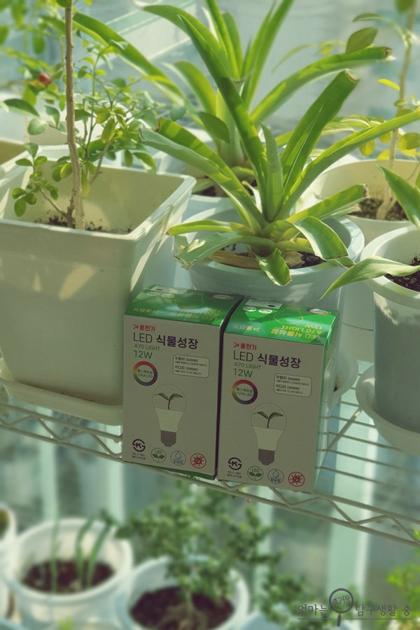 홍전기조명 이미지