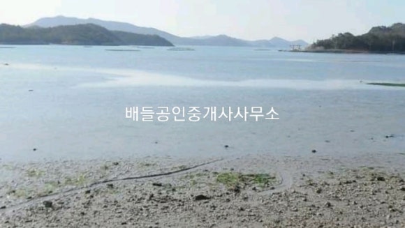 차우리다 이미지