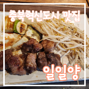 일일양충북 이미지