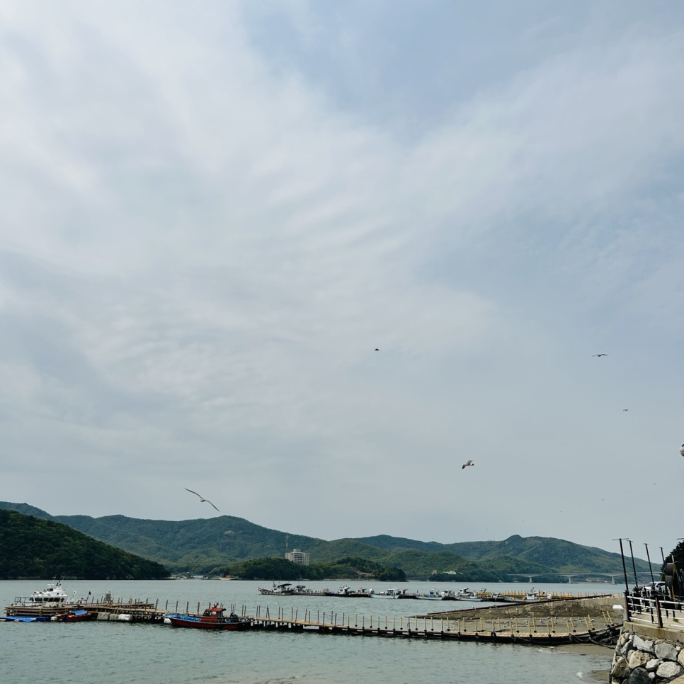 서산집 이미지