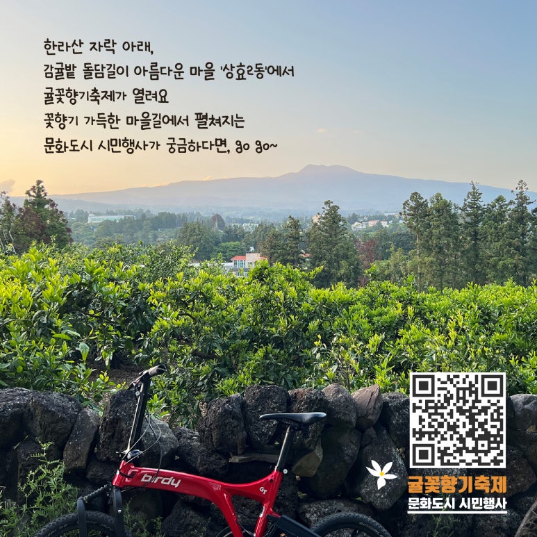 귤꽃향기 이미지