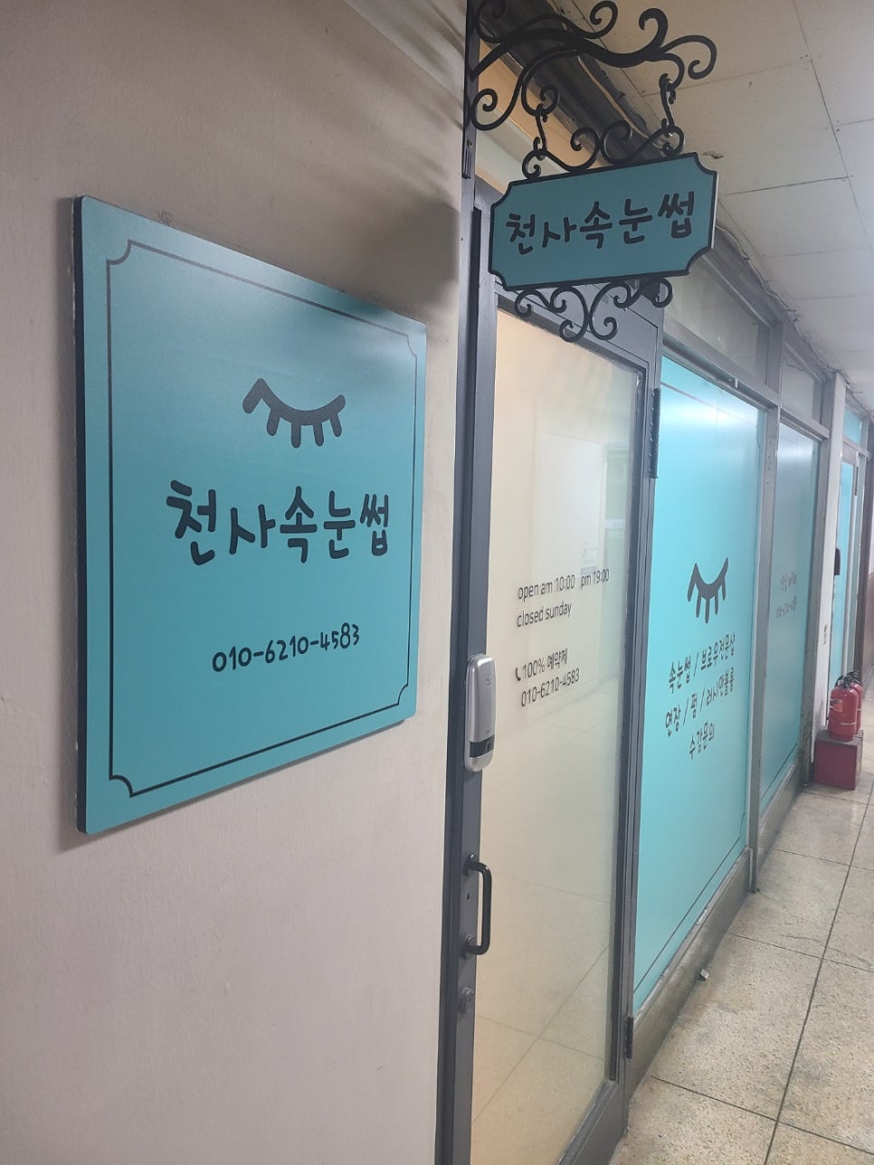 천사속눈썹 이미지