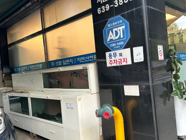 회초밥일번지 이미지