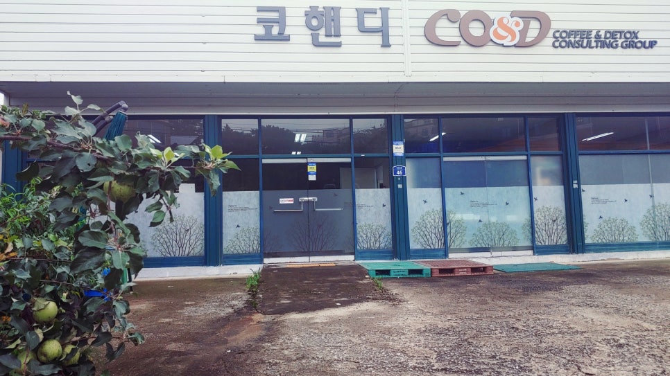 코핸디 이미지