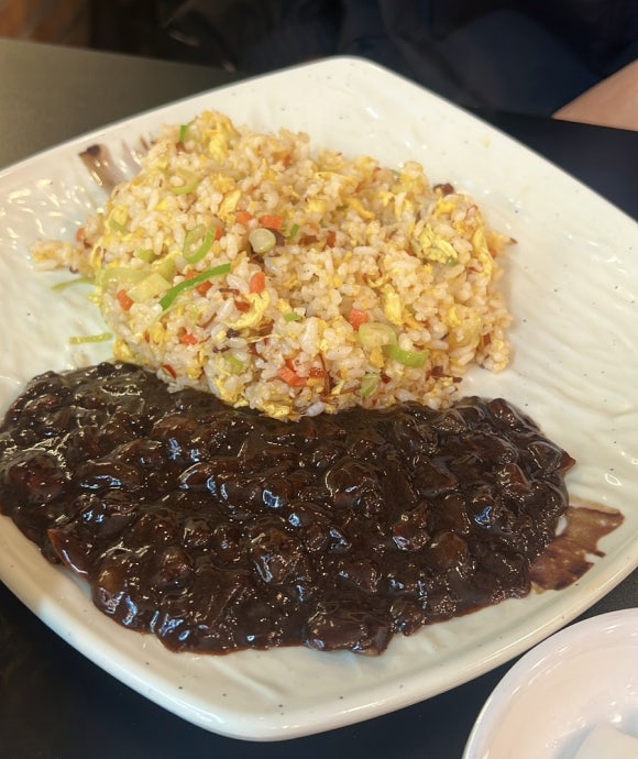 아방성 이미지