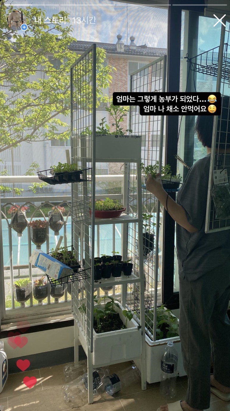송도장어 이미지