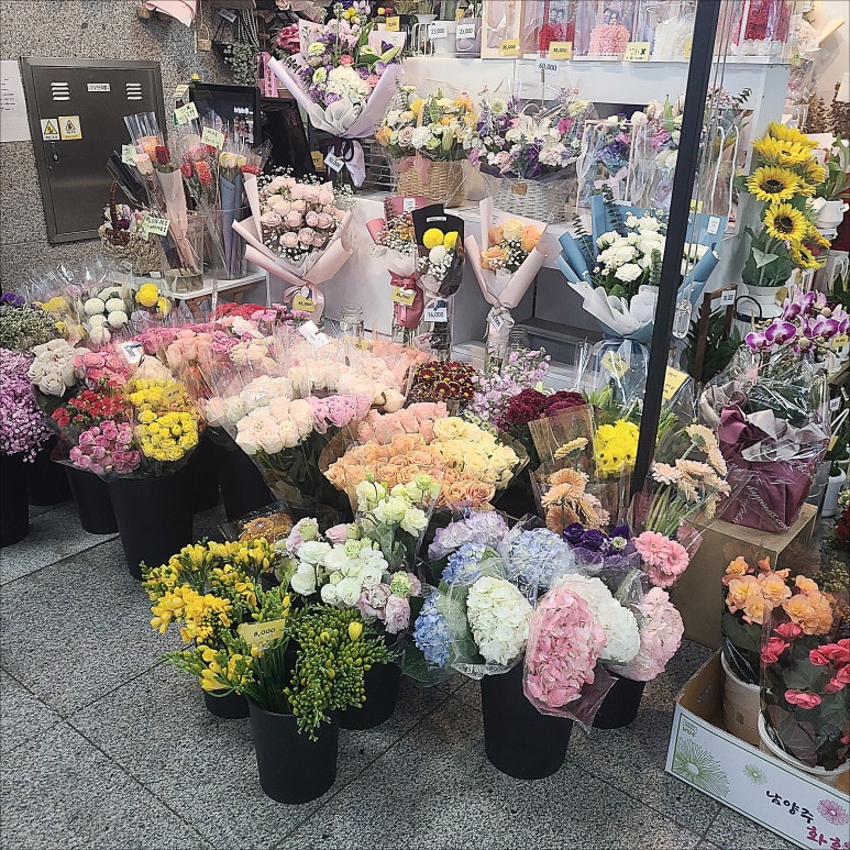 시나플라워 이미지