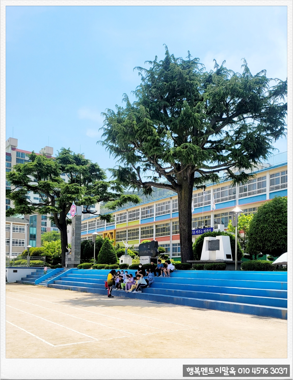 대창컨설팅 이미지