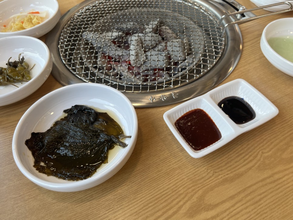 폭풍장어 이미지
