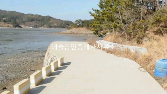 차우리다 이미지