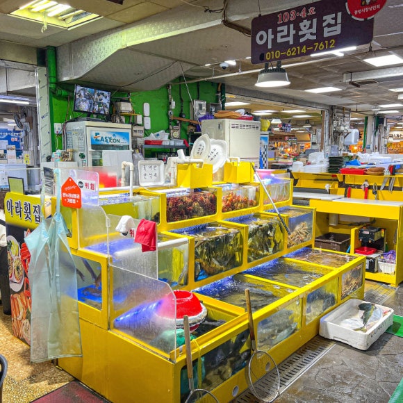 중앙수족관 이미지