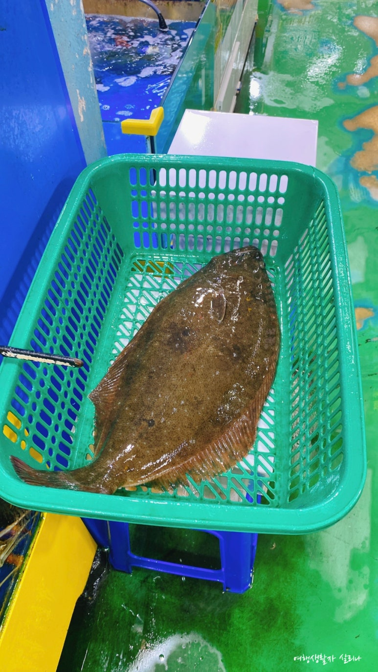 또와수산 이미지