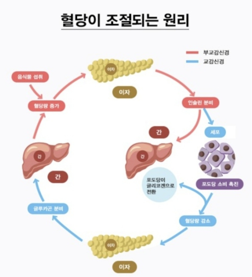 제이바디짐 이미지