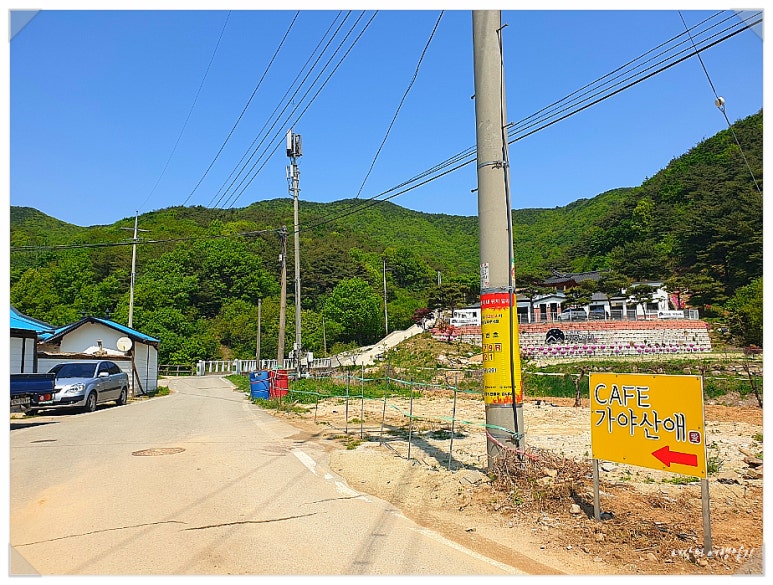 가야산애 이미지