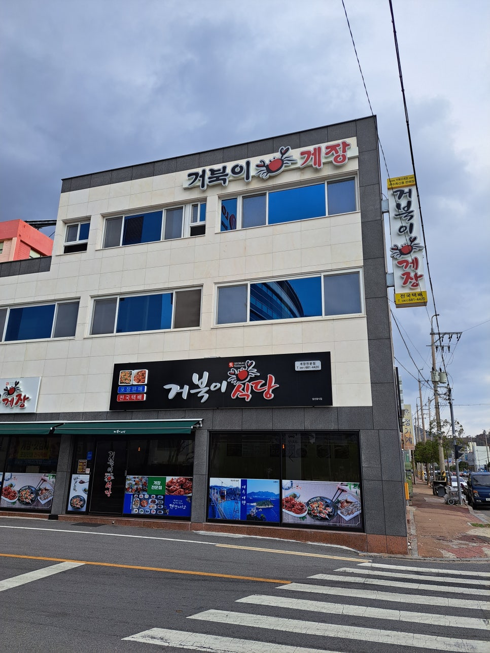 거북이 몰 이미지