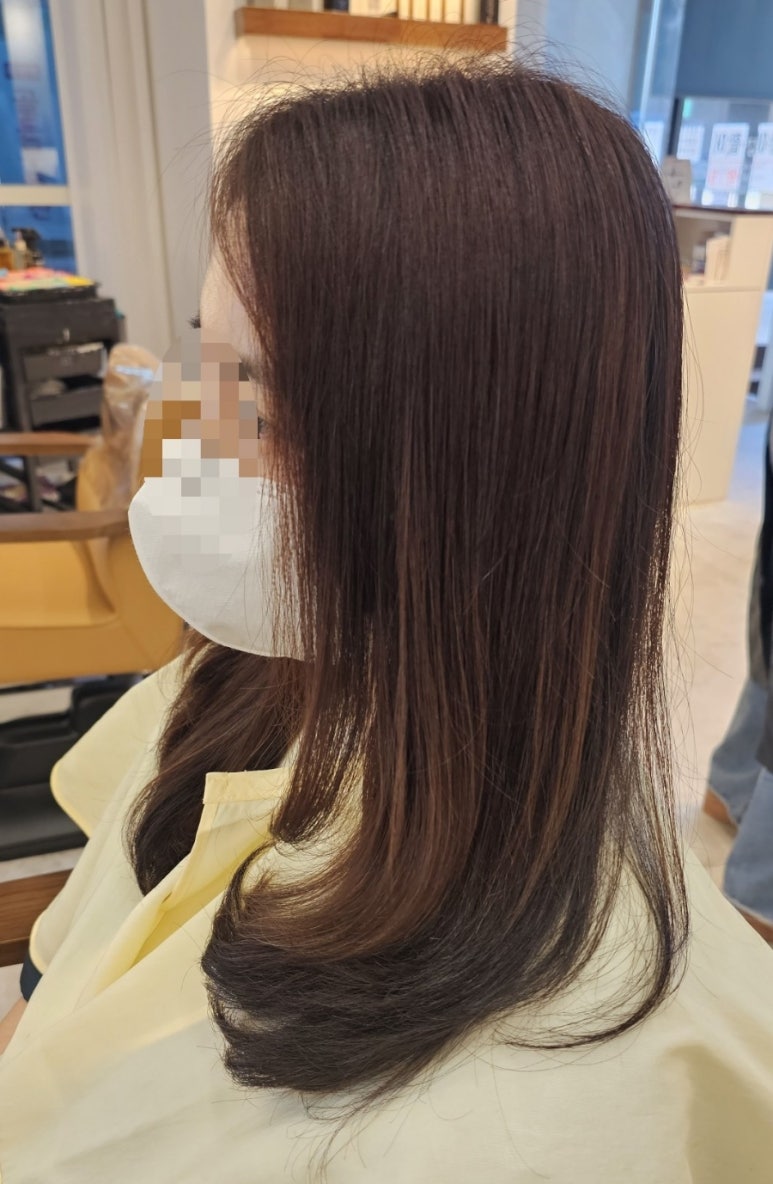 바이다교 이미지