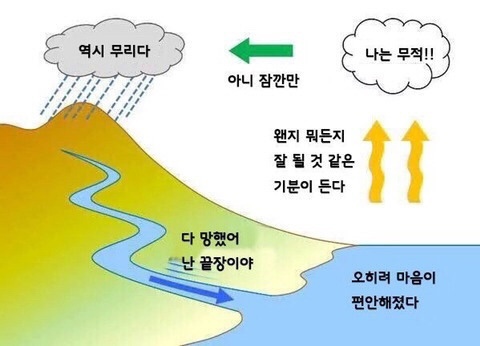 파파피나 이미지