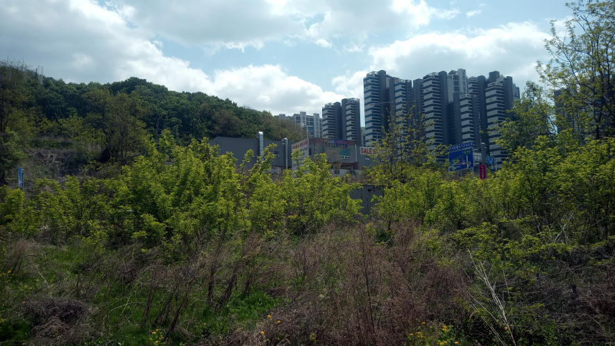 샘터주유소 이미지