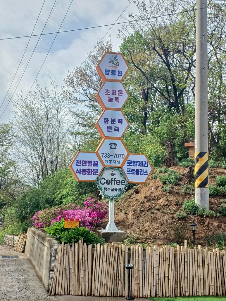옥천양봉원 이미지