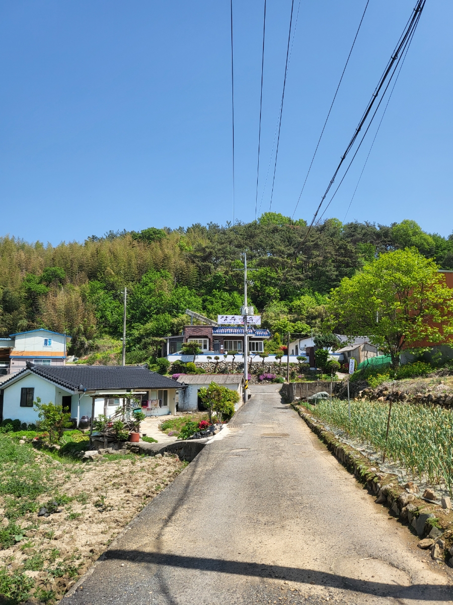생림국수 이미지