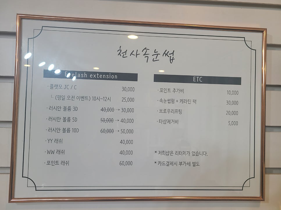 천사속눈썹 이미지