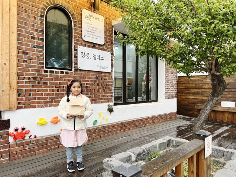 강릉;앨리스 이미지