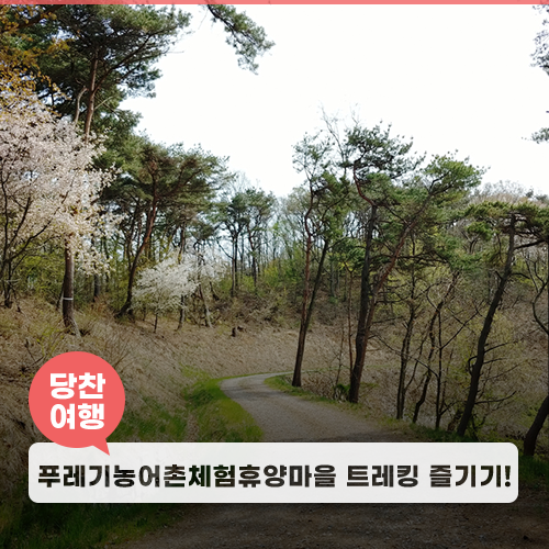 푸레기농어촌체험휴양마을 이미지