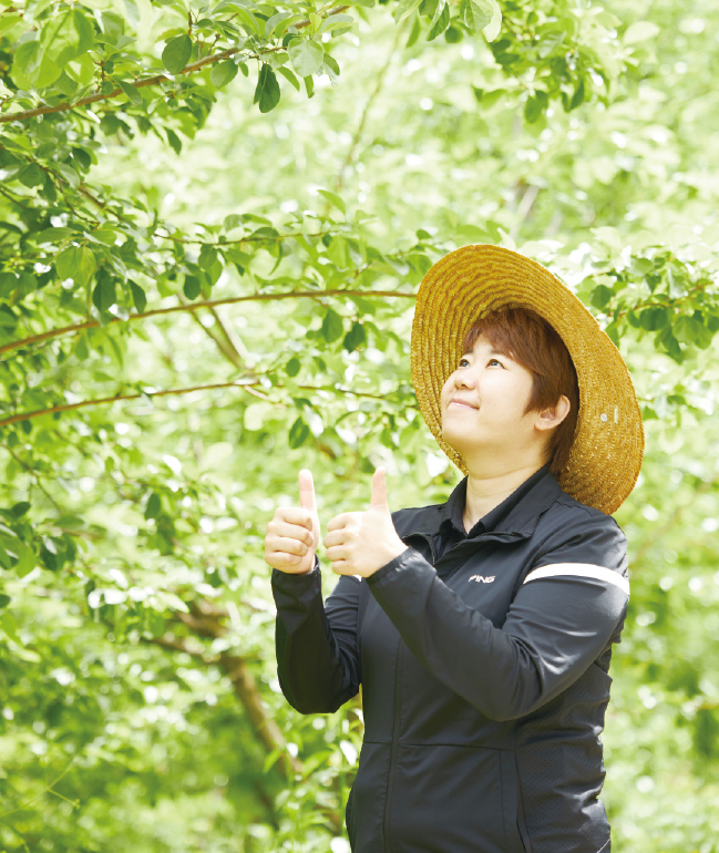 진안꾸지뽕나무 이미지