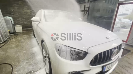 이실리스 이미지