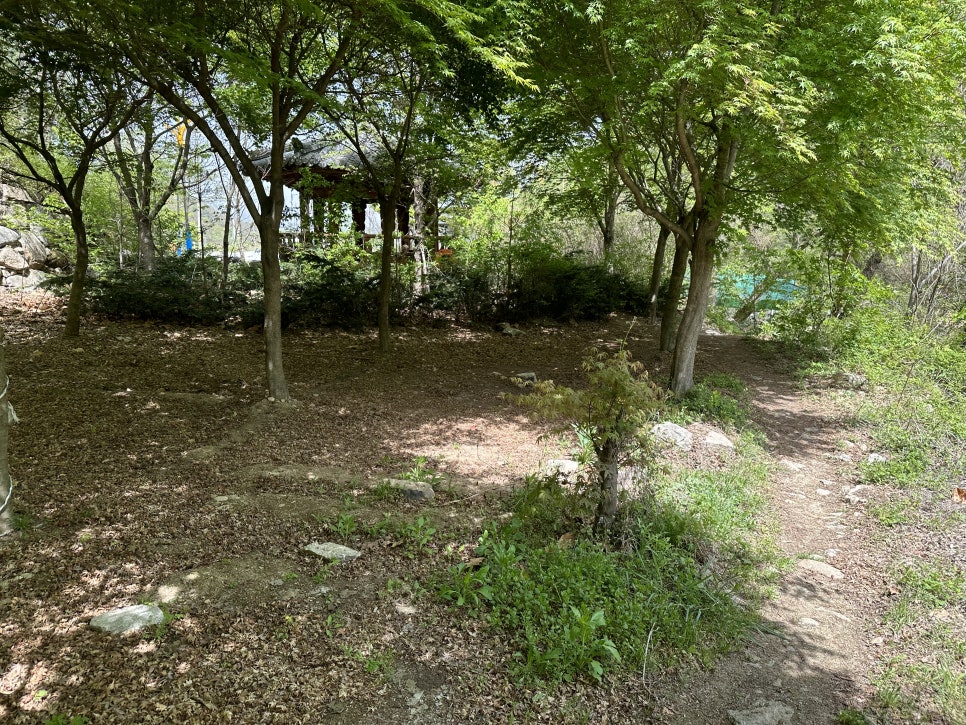 동산오토캠핑장 이미지