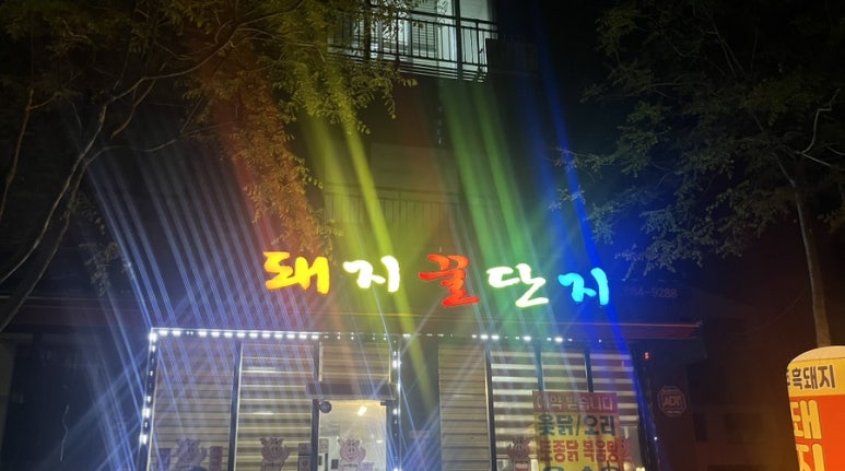 돼지꿀단지 이미지
